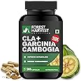 Forest Harvest CLA with Garcinia Cambogia Extract Capsules | 10X Strength | 90 Vegan Capsules. Powerful Weight Management & Fat-Burning Formula