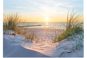 Runa Art Papier peint intissé Plage Coucher de soleil 352 x 250 cm Toison Mur XXL Tableaux Muraux Tapisserie Photo Décoration Murale Salon Chambre Mer Nature 9559011a