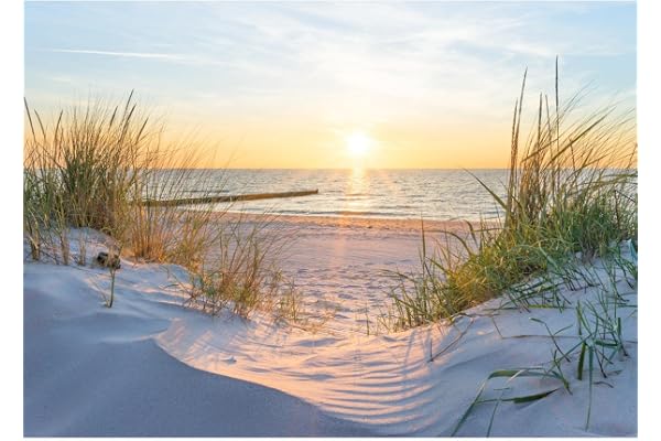 Runa Art Papier peint intissé Plage Coucher de soleil 352 x 250 cm Toison Mur XXL Tableaux Muraux Tapisserie Photo Décoration Murale Salon Chambre Mer Nature 9559011a