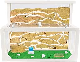 AntHouse - Natürliche Ameisenfarm aus Sand 3D | Modell L (Sandwich + Futterbox) Weiß | Ant Farm | Inklusive Ameisenkolonie