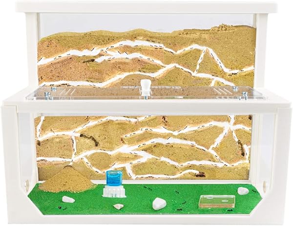AntHouse - Natürliche Ameisenfarm aus Sand 3D | Modell L (Sandwich + Futterbox) Weiß | Ant Farm | Inklusive Ameisenkolonie - 1