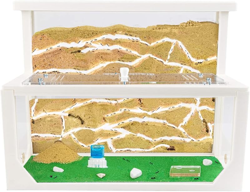AntHouse - Natürliche Ameisenfarm aus Sand 3D | Modell L (Sandwich + Futterbox) Weiß | Ant Farm | Inklusive Ameisenkolonie