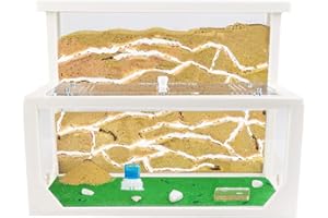 AntHouse - Formicaio Naturale di Sabbia 3D Bianco | Kit L (Sandwich + Cassa di Foraggiamento) | Formiche Incluse con Regina