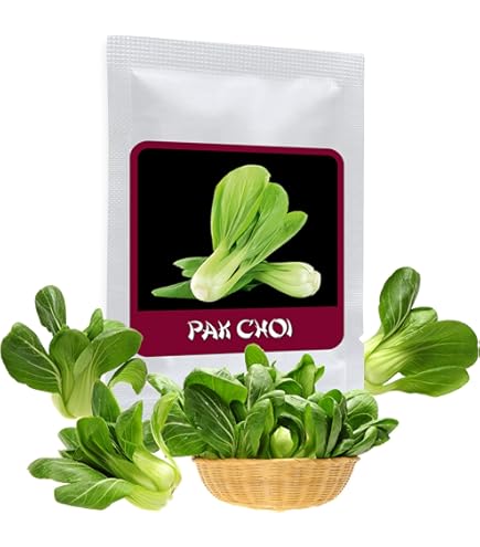 Granato Di Cavolo Cinese - Cavolo Cinese - Cavolo - Michihili 600 Semi - Se - Foto 9