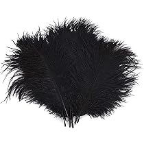 Straußenfeder-Fransenband – 2 Meter Lang, 3,5 Zoll (ca. 9 Cm) Breit, Schwarz