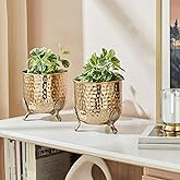 Amazon Basics Planter with Plant Stand | Flower Pot for Home Décor, Indoor and Outdoor Gardening | Set of 2 (Gold Finish)