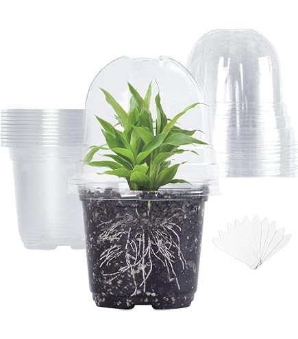 15 Pots De Pépinière Transparents Avec Dômes D'humidité - Pots De Démarrage Semis Avec Trous De Drainage - 10cm