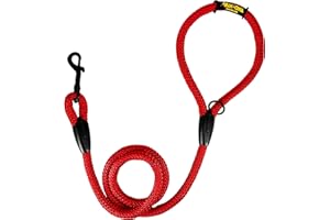 AVANZONA Guinzaglio per addestramento classico per cani, corda in nylon, prodotto in Spagna, per cani di piccola, media e grande taglia. 120CM. Rosso