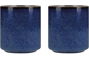 Mikasa Mksatcup2Pc Satori Ensemble de Tasses à Saké Japonais avec Bords Dorés dans Une Boîte Cadeau en Porcelaine