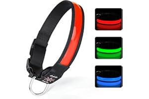 TENXSNUG Collare Luminoso per Cani Ricaricabile USB, Collare LED Regolabile con 3 Modalità di Illuminazione per Cani di Piccola Media Grande Taglia in Tutta Sicurezza di Notte - Rosso - L