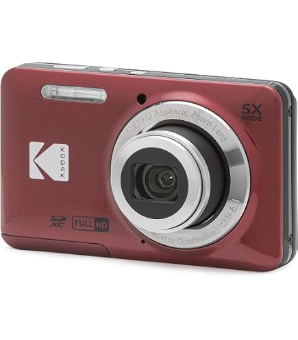 Nikon COOLPIX L31 Compact Digital Camera - (16.1 MP, 5x Optical