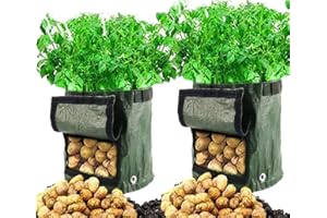 Cefrank 2 X Sac de Plantation Grand, 50 L, 34 X 35 cm, Sacs de Plantation pour Pommes De Terre, Carottes, Fraises Fraise Grow Bag