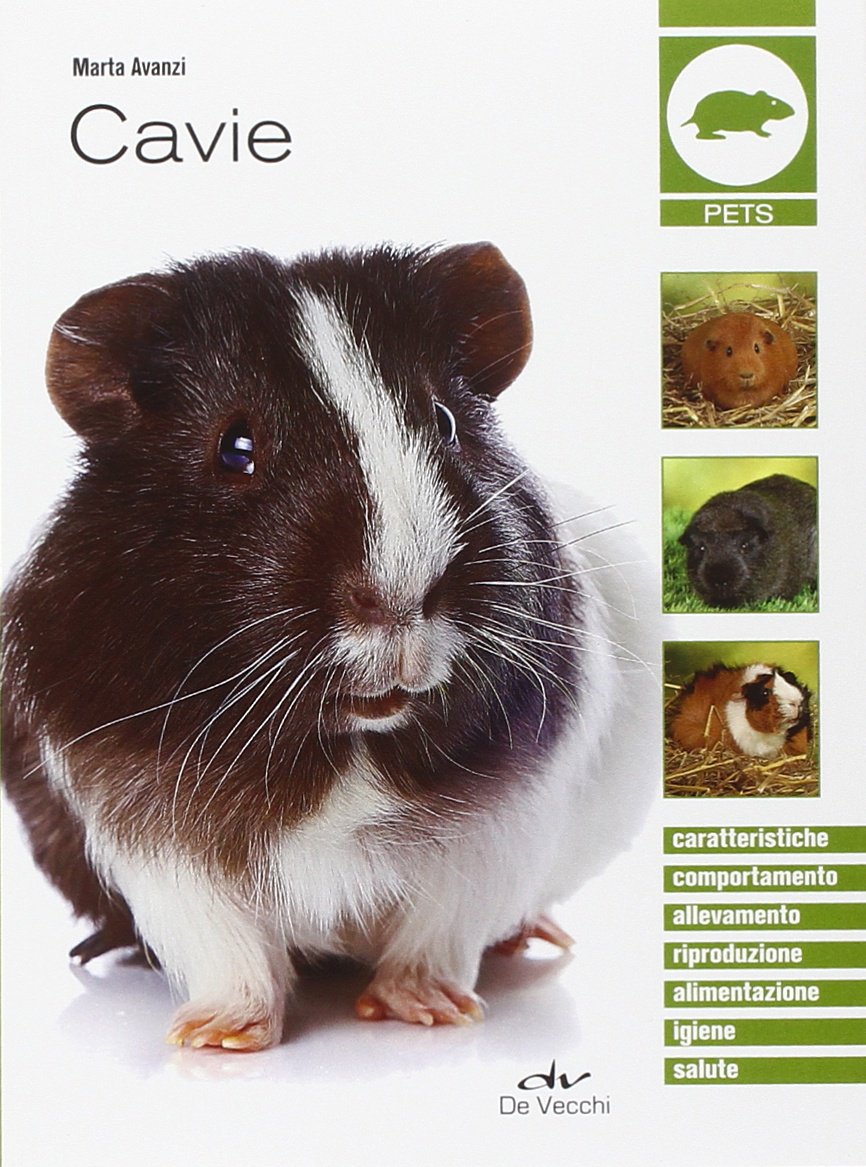Cavie: Caratteristiche - Comportamento - Allevamento - Riproduzione - Alimentazione - Igiene - Salute