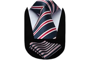 HISDERN Cravate Homme Mariage Cravate à Carreaux/Pied-de-poule et Mouchoir La Cravate des Hommes & Carre de poche Set