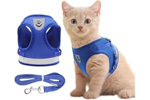 Anlitent No Pull Dog Harness and Lead Set for Walking Jacket Puppy Vest Harnesses for Small Animals Rabbit/Rat/Small Dogs Boy Super Soft(Small, Blue)