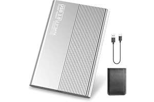 RIYTH Hard Disk 2TB Esterno,Hard Disk Esterno USB 3.0 Type-C, Plug and play SATA 2,5"Portátil HDD de Almacenamiento compatibile con Xbox, PC, Desktop, Laptop,Ordenador, Chromebook.F12-19(2TB,Argento)