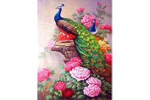 DCIDBEI Pintura 5d diamante Flor de la peonía del pavo real,diy 5d diamond painting para niños,cristal Full Diamond Rhinestone pintura por número artesanía arte manualidades decoraciónr 30x40cm