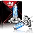 WinPower - 24V H7 Halogen Bulbs - 70W Super Bright Ultra White Headlight Bulb 5000K for Lorry/Truck PX26d, 2 Lamps