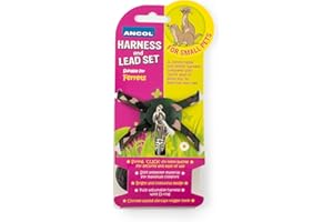 Ancol Ferret Harness and Lead Set - Comfortable Adjustable Nylon Harness with D-Ring and Chrome Plated Trigger Hook - Secure and Stylish for Small Pets