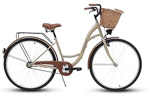 Goetze Eco Vintage City Bike - Bicicleta holandesa para mujer, estructura de acero, ruedas de aluminio de 28 pulgadas con freno de contrapedal, 1 marcha, sin desviador, cesta de mimbre