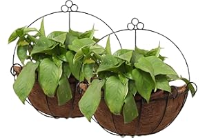 Tosnail PVC Coated Metal Colgar en la Pared Maceta Cesta con Coco Maletero – Ideal para Interior o Exterior Plantas – Pack de 2