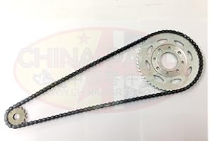 PGONA Chain & Sprockets Kit for Lexmoto Adrenaline 125, Sinnis Apache 125, RMR 125 (Rear Disc)