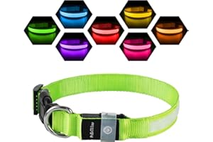 PCEOTLLAR Świecąca obroża dla psa, ładowana, USB-C, wodoszczelna obroża dla psa, świecąca, 7 kolorów, migające światło, regulowana, lekka obroża dla małych i średnich psów, zielona, S