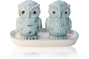 FLANACOM Zabawna solniczka i pieprzniczka z porcelany, dozownik przypraw, prezent na parapetówkę, ślub, urodziny, dla par (niebieska sowa)