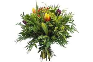 BLUMEN-SENF Blumenstrauß Frühlingsbote – Frische Tulpen & bunte Blumen inkl. kostenloser Glückwunschkarte | Perfekt für Frühling & Geschenk