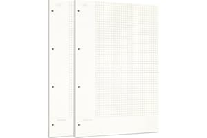 Zelten Connell, papier perforowany do 6-otworowych segregatorów, osobisty organizer, notatnik, planer do ponownego napełniania, format A4/4