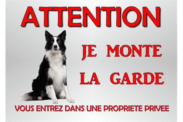 plaque attention chien border collie en métal 29 x 20 cm env réf 42