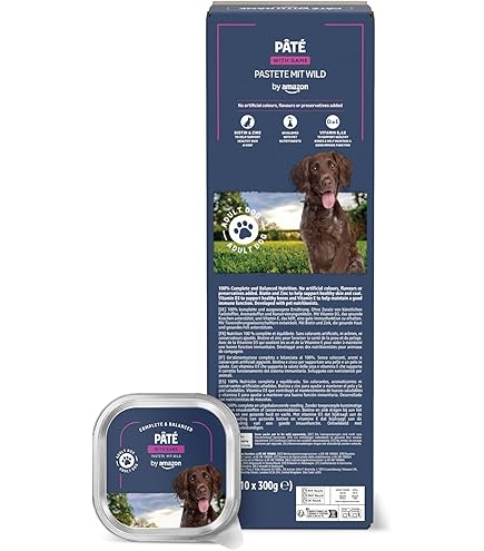 aufbewahrung katzenstreu Garvee Katze Katzenstreu Box Gehäuse Versteckte Katzenstreu main image 1