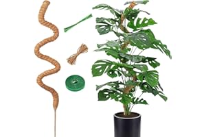 CTCEHL Bastone di Muschio,1pcs120 cm Pieghevoli Fibra di Cocco per Piante,Bastoncino di muschio Monstera,Bastoncino per piante rampicanti indoor,per piante rampicanti che crescono verso l'alto