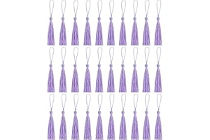 Amdonalo 30 PCS Bookmark Tassels, Mini Tassels Silky Tassels for Bookmarks Handmade Bookmark Tassels for Resin DIY Craft Supplies and Home Decor (Lightpurple)