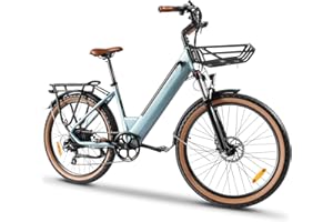 ‎KAISDA KAISDA Electric Bike 26 Zoll Elektrofahrrad E-Bike Pedelec Mit 250W Motor 36V 16Ah Abnehmbarem Li-ion Akku Bis Range 100km,7 Speed MTB Ebike for Adults,LCD Display