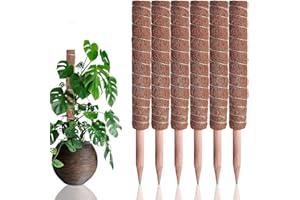 We Art Leaves Moss Pole for Monstera–6PCS–30CM Each Moss Pole with 60 Zip Ties & 60 Plant Labels–Extendable Monstera Plant Support with Mesh–Perfect Plant Supports for Indoor Plants & Outdoor