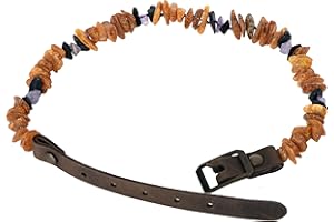 BALTICAMBERLAND B-A-L Baltic Amber Land Bernsteinkette Hund Haustierhalsband aus baltischem Bernstein - Halsband aus Bernstein und Amethyst für Hunde und Katzen - gegen Flöhe und Zecken (65-70cm)