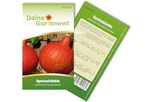 Hokkaido Kürbis Uchiki Kuri Samen - Cucurbita maxima - Kürbissamen - Gemüsesamen - Saatgut für 8 Pflanzen