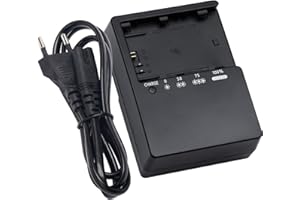 AERXVECIY LC-E6 Schnell-Ladegerät Kompatibel mit Canon LC-E6 LC-E6E LP-E6 LP-E6N LP-E6NH Akku für Canon EOS R5 R6 5D 5D Mark III 5DS 5DS R 6D 7D 60D 60DA 70D 80D 90D Mark II Kameras Power