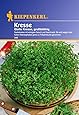 Sperli Gemüsesamen Kresse glatte, großblättrig, grün