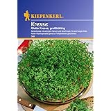 Sperli Gemüsesamen Kresse glatte, großblättrig, grün
