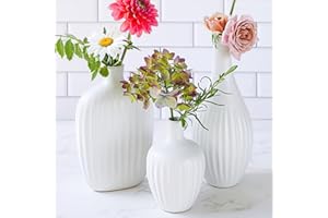 KATE ASPEN Jarrones Blancos Minimalistas de cerámica Texturizada (Juego de 3) – Jarrones Bohemios para Hierba de Las Pampas, eucalipto, Flores secas y Plantas | Decoración de estantes, decoración de repisa,