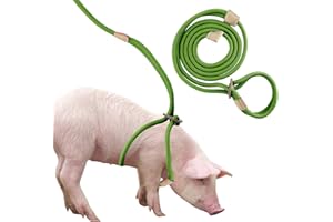 DNOIFNE Mini Pig Harness & Leash, Mini-Schweine-Geschirr und Leine, verstellbares 2,4 m langes Seil für kleine bis mittelgroße Haustierschweine