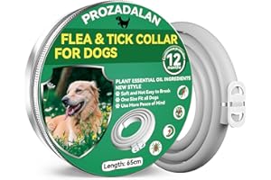 PROZADALAN Collar Antipulgas para Perros, Collar Antiparasitario e Impermeable de 65 cm para Perros, Eficaz para Repeler Pulgas y Garrapatas Durante, Apto para Perros Pequeños, Medianos y Grandes(1 PCE)