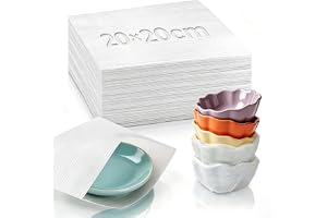 100 st. förpackningsmaterial bubbelplast 20 x 20 cm skumfolie för flyttning | Skumförpackning, flyttförpackning, stötdämpning, återanvändbar, för flyttkartong, porslin, glas, bildram