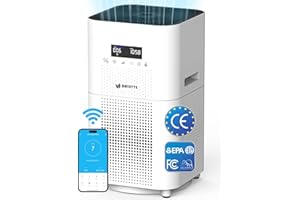 DAYETTE Air Purifiers for Home Large Room Up to 160 m², Smart WIFI APP & Alexa Control Air Cleaner, H13 True HEPA Filter for Allergies Pet Dander Smoke Dust, 22dB Sleep Mode for Bedroom