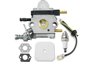 JUUDDENPARTS 12520013129 Carburetor, Replacement for Mantis tiller/cultivator 7222 722E 7222M 7225 7230 7234 7240 7920 7924, 