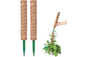 Monbessi 2 Stück 42cm Moosstab Pflanzstab Kokos, Rankhilfe Zimmerpflanzen für Monstera, Efeutute, Scindapsus Aureum, Weinrebe, Zimmerpalme, Strelitzia Reginae ( 2 Stück 42cm Moosstab)