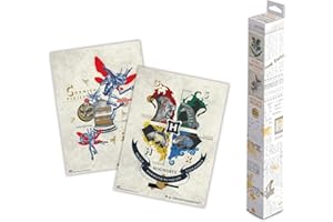 Grupo Erik Poster Harry Potter, 2 Posters para pared - Decoracion Harry Potter : Laminas decorativas, Harry Potter regalos : Posters decorativos (38x52 cm)