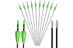 AMEYXGS 12/24pcs Tiro con L'Arco Frecce in Vetroresina 31" Frecce per Tiro al Bersaglio Spine 900 per Caccia e tiro